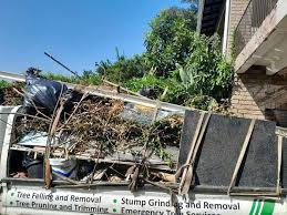 Best Yard Waste Removal  in Varnville, SC